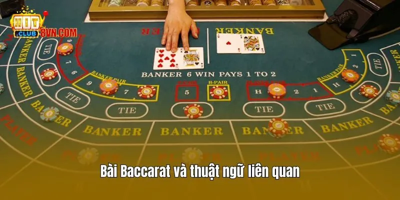 Bài Baccarat và thuật ngữ liên quan