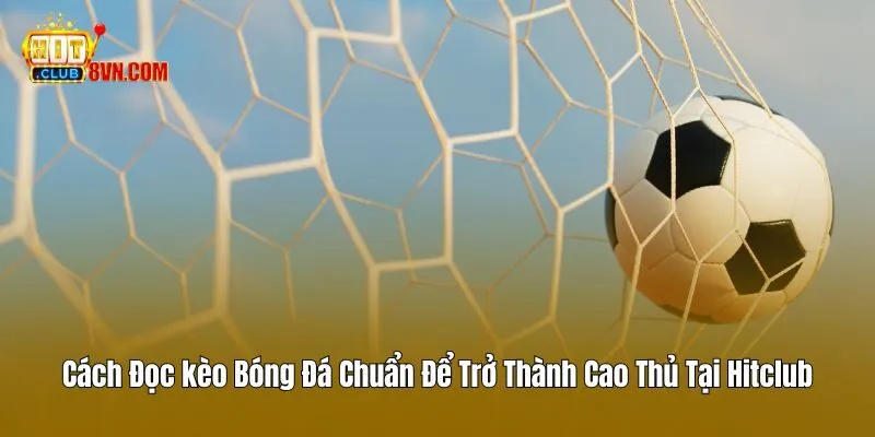 Cách Đọc Kèo Bóng Đá Chuẩn Để Trở Thành Cao Thủ Tại Hitclub
