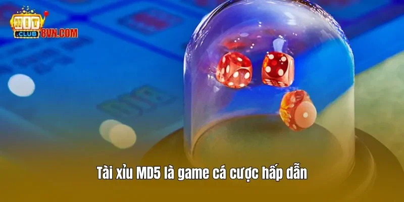 Tài xỉu MD5 là game cá cược hấp dẫn